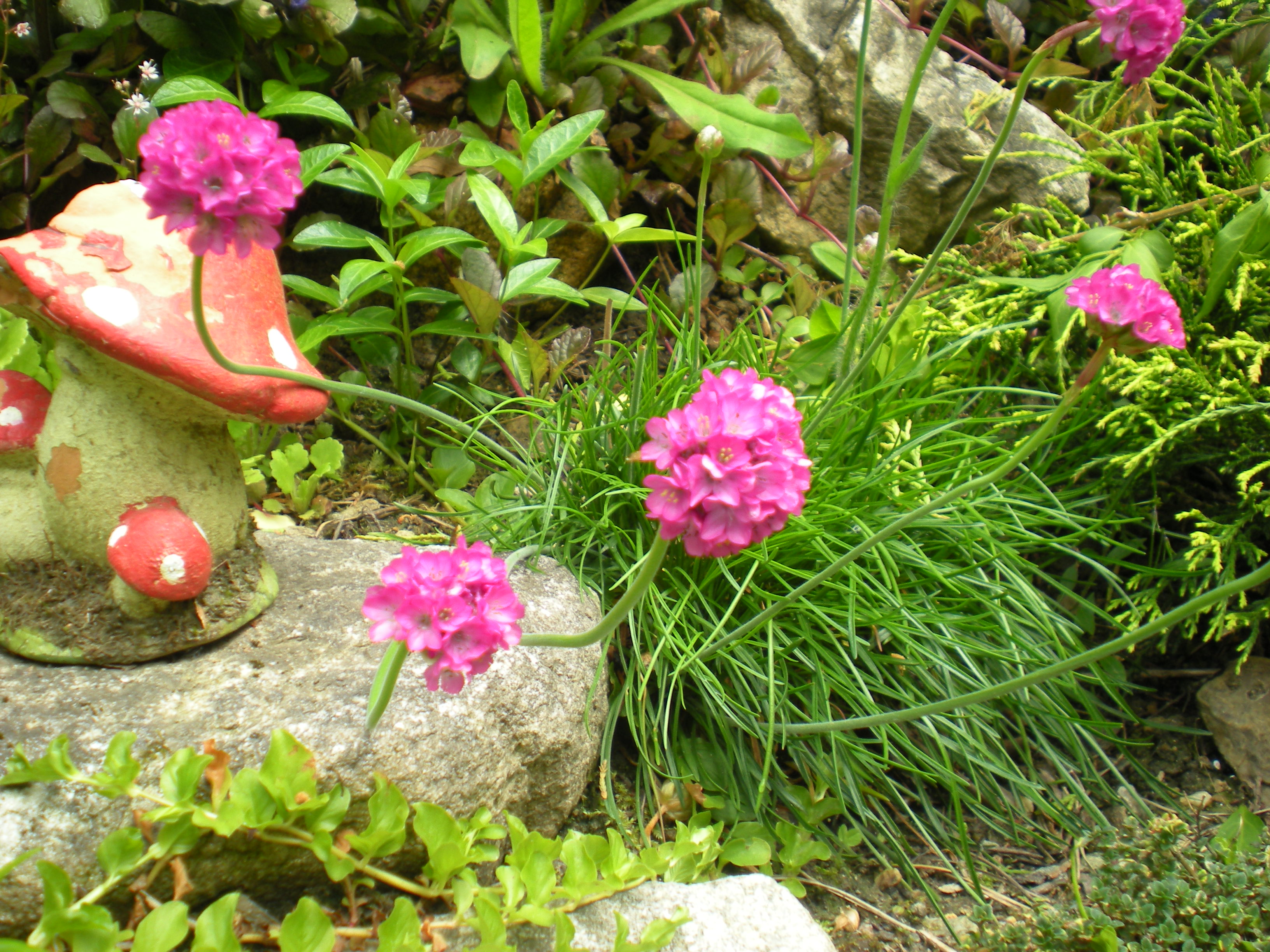 DSCN0062