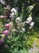 IMG_20250705_141317