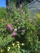 IMG_20250705_141404