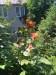 IMG_20250705_141507